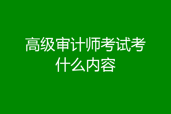 高级审计师考试考什么内容