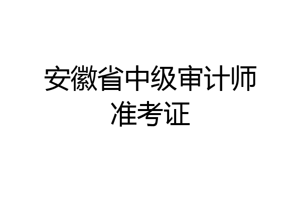 安徽省中级审计师准考证