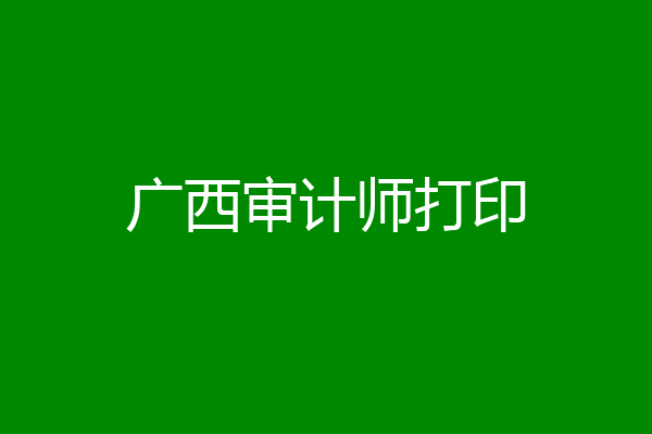 广西审计师打印