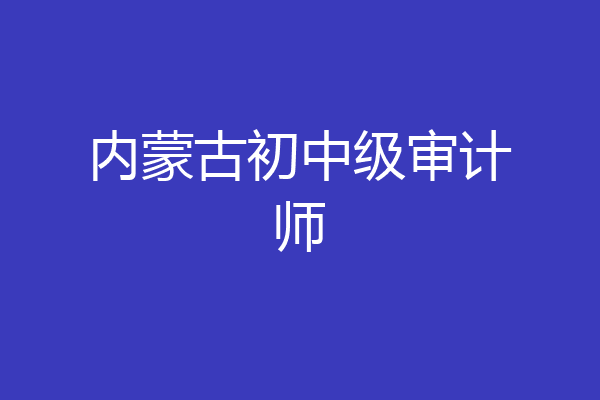 内蒙古初中级审计师