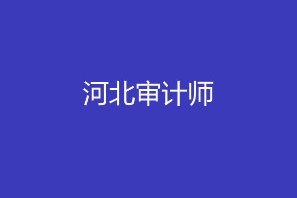 河北审计师