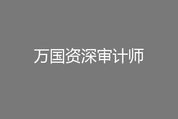 万国资深审计师
