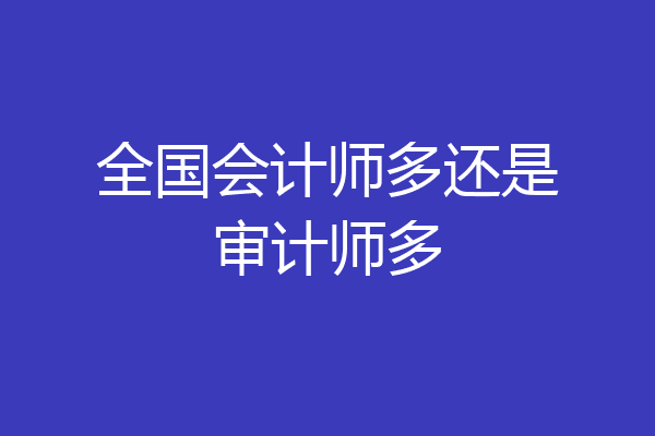 全国会计师多还是审计师多