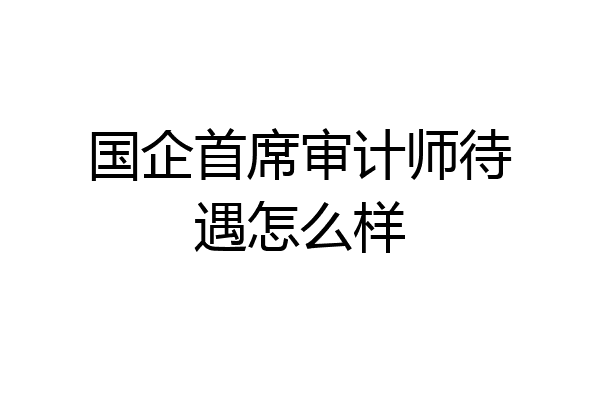 国企首席审计师待遇怎么样