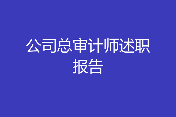 公司总审计师述职报告
