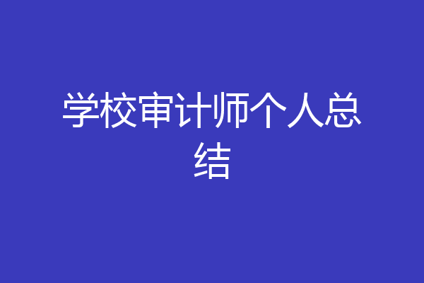 学校审计师个人总结
