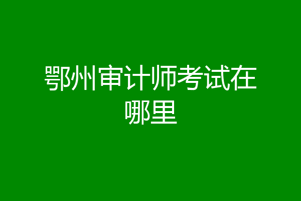 鄂州审计师考试在哪里