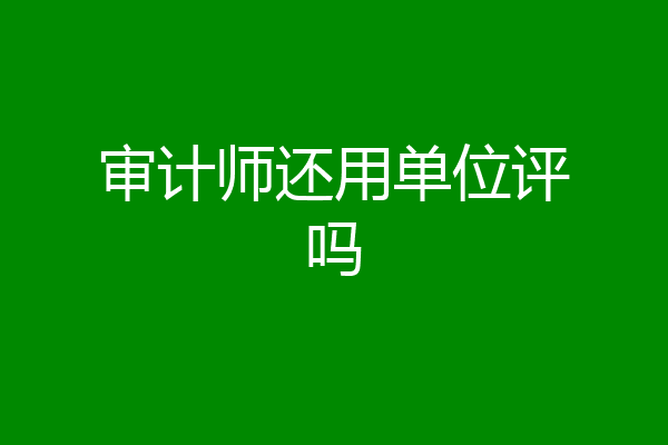 审计师还用单位评吗