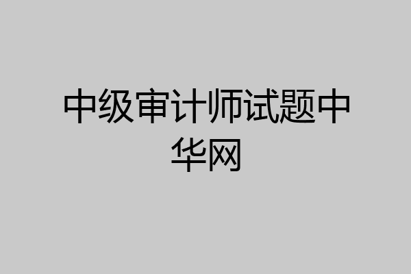 中级审计师试题中华网