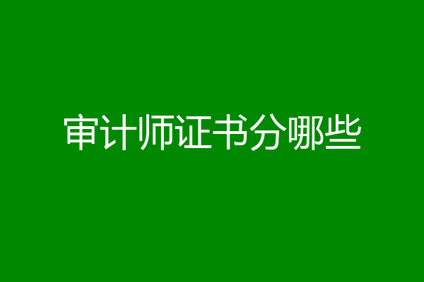 审计师证书分哪些