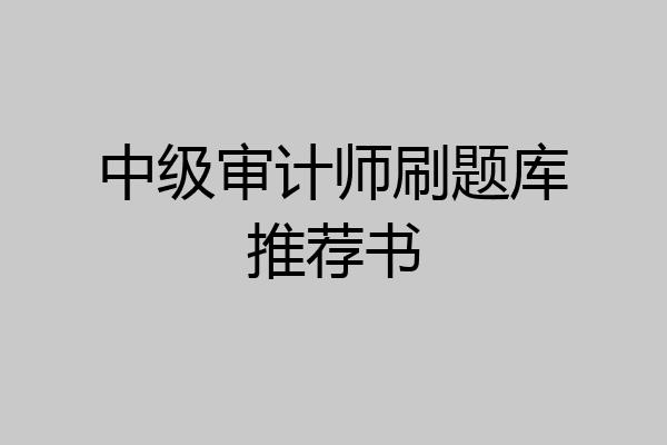 中级审计师刷题库推荐书