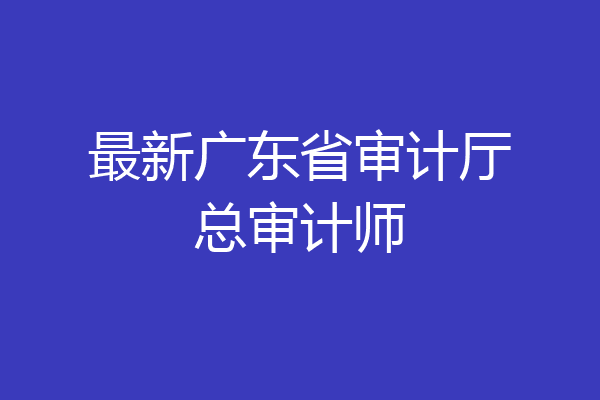 最新广东省审计厅总审计师