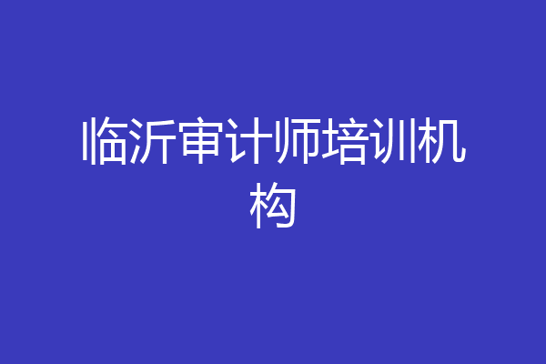 临沂审计师培训机构