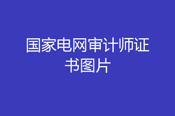 国家电网审计师证书图片