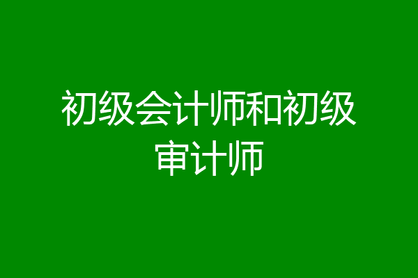 初级会计师和初级审计师