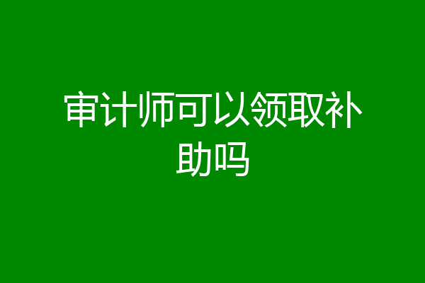 审计师可以领取补助吗