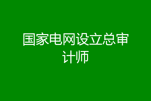 国家电网设立总审计师