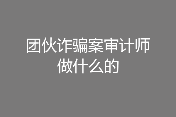 团伙诈骗案审计师做什么的