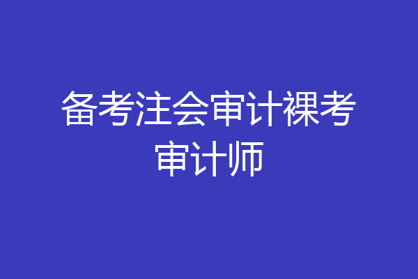 备考注会审计裸考审计师
