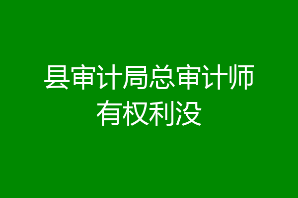 县审计局总审计师有权利没