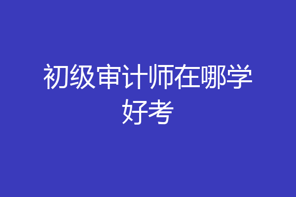 初级审计师在哪学好考