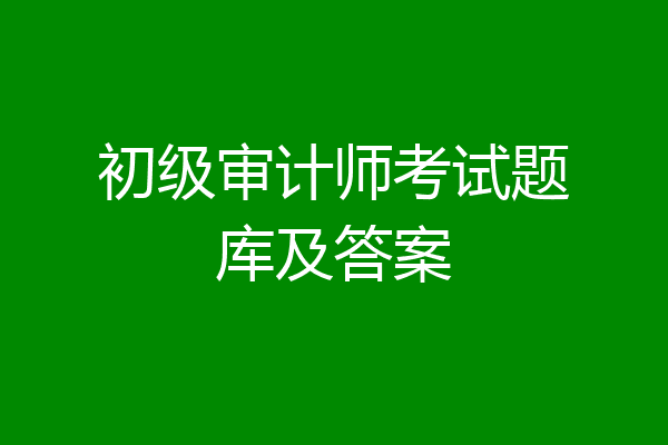 初级审计师考试题库及答案