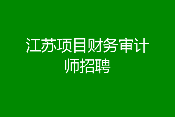 江苏项目财务审计师招聘
