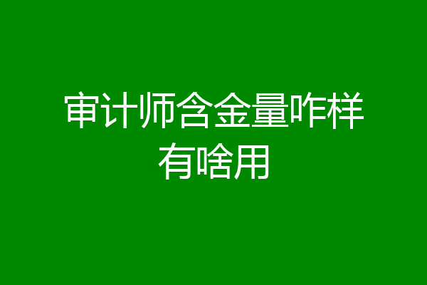 审计师含金量咋样有啥用