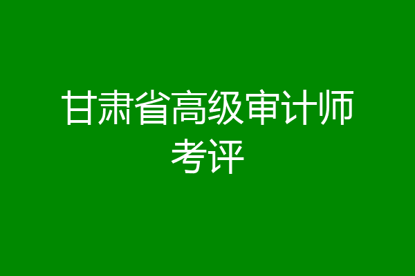 甘肃省高级审计师考评