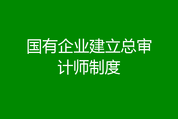国有企业建立总审计师制度