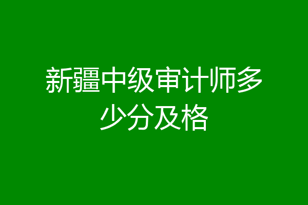 新疆中级审计师多少分及格