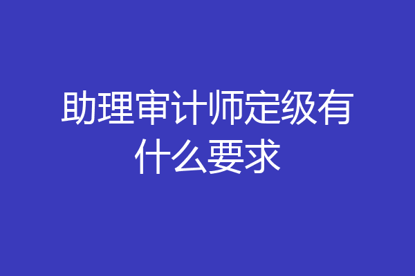 助理审计师定级有什么要求