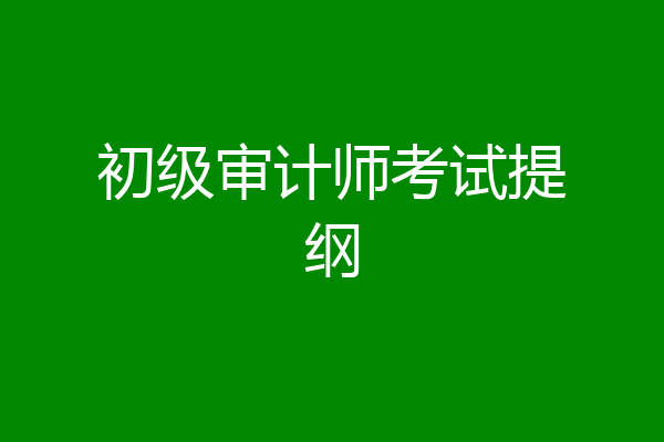 初级审计师考试提纲