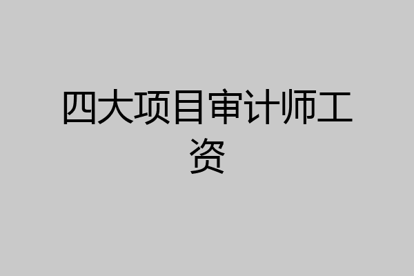 四大项目审计师工资