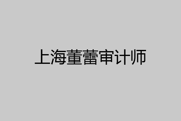 上海董蕾审计师