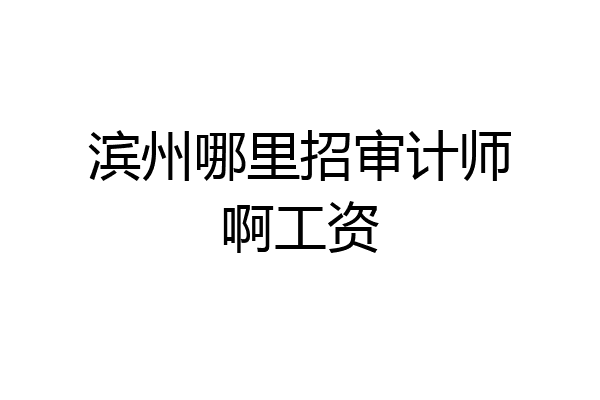 滨州哪里招审计师啊工资