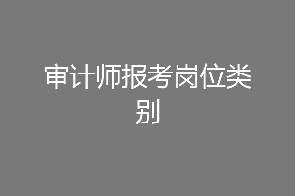 审计师报考岗位类别