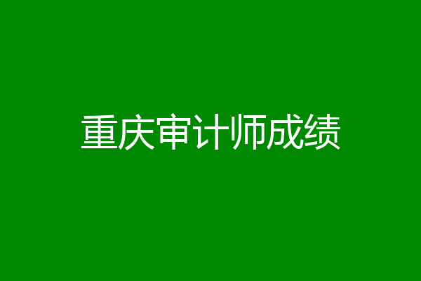 重庆审计师成绩