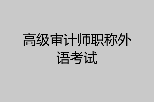 高级审计师职称外语考试