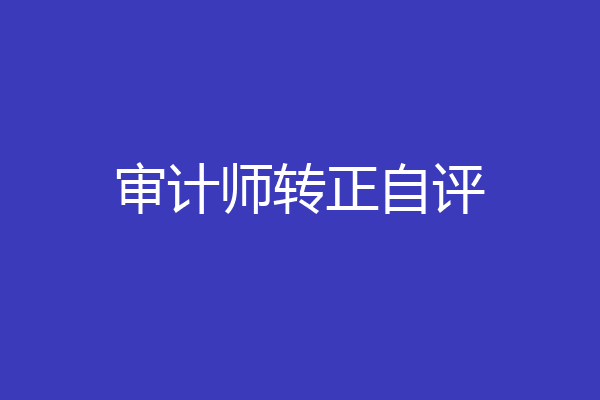 审计师转正自评