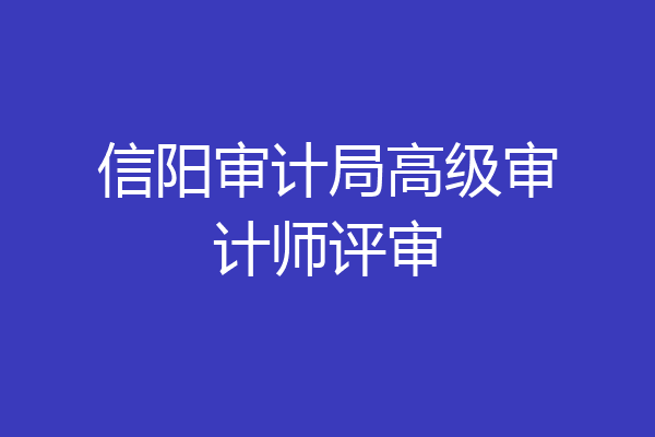 信阳审计局高级审计师评审