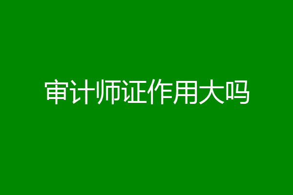 审计师证作用大吗