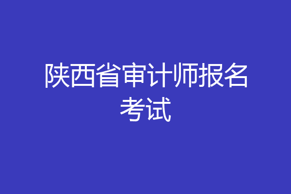 陕西省审计师报名考试