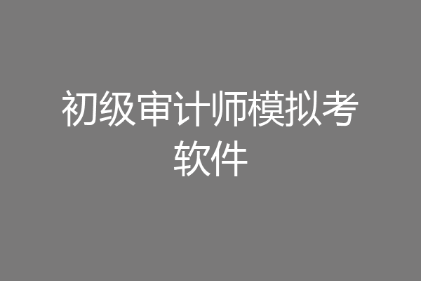 初级审计师模拟考软件