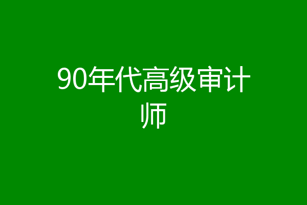90年代高级审计师