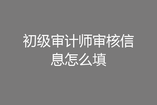 初级审计师审核信息怎么填