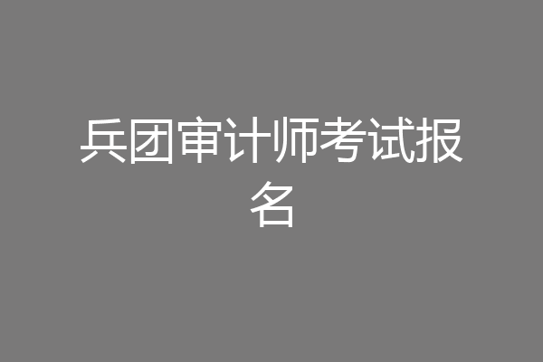 兵团审计师考试报名