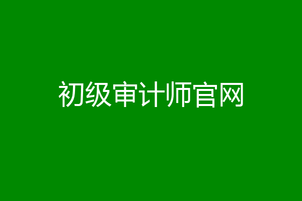 初级审计师官网