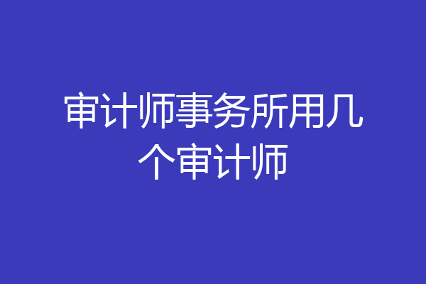 审计师事务所用几个审计师