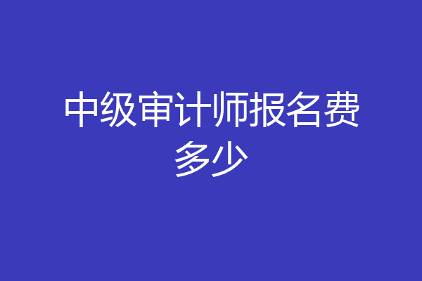 中级审计师报名费多少